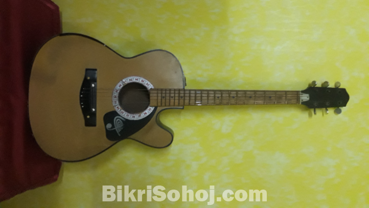 Guitar